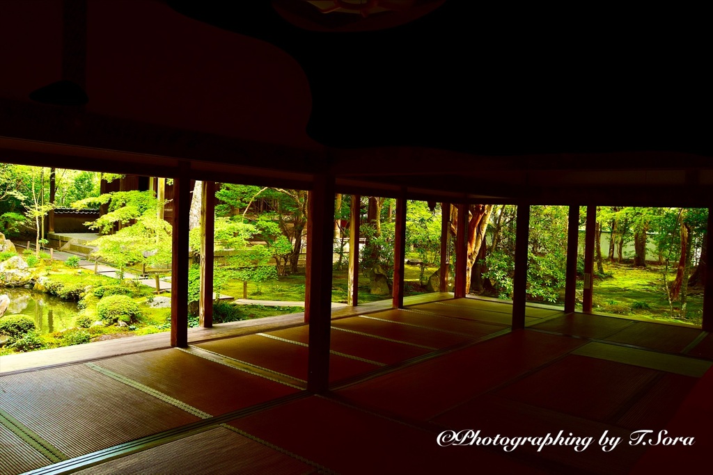 京都蓮華寺の庭園（1）