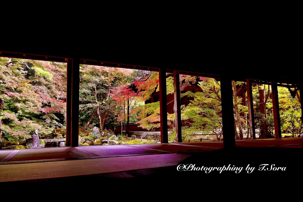 京都洛北　蓮華寺の紅葉（2）