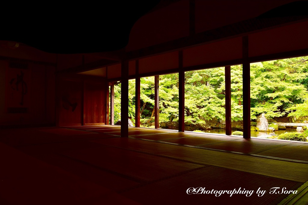京都蓮華寺の庭園（2）