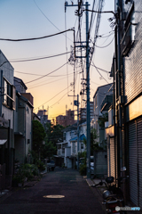返るぞ