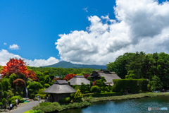 晴れてた