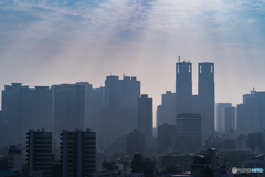 新宿の朝