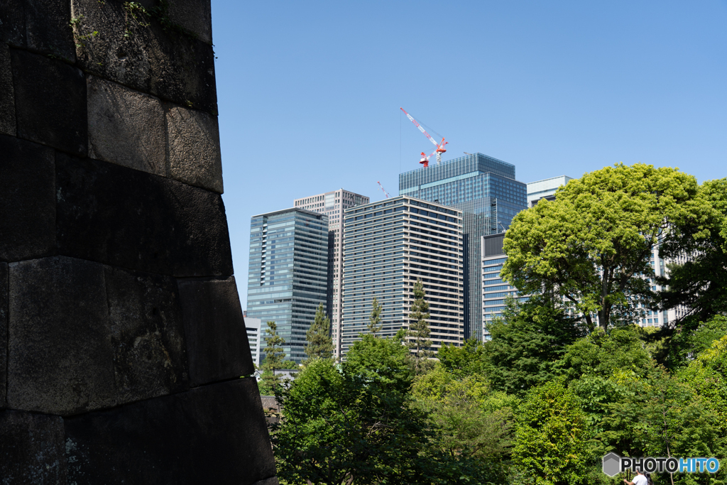 新旧の建物