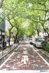 渋谷の街並み