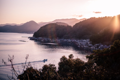 帰港