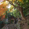 竹寺