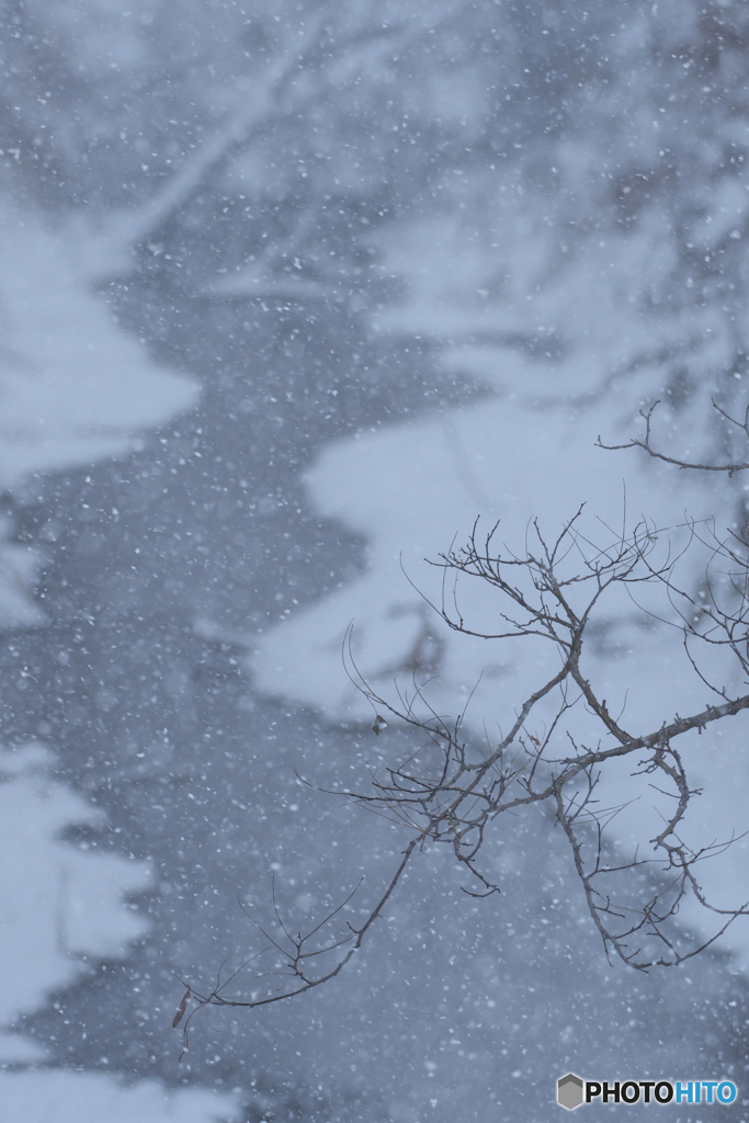 雪景