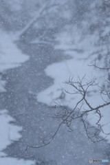 雪景
