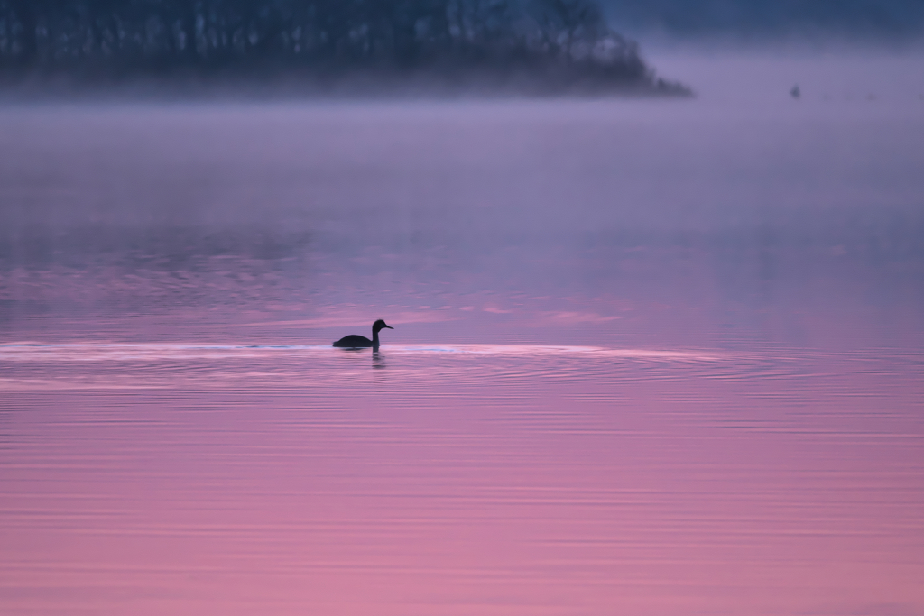 凛とした早春の朝に