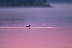 凛とした早春の朝に