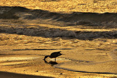 マジックアワーの海辺で＃２