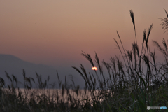 晩夏の夕暮れ