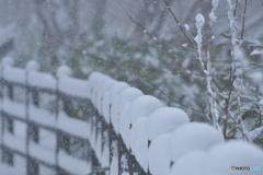 雪景