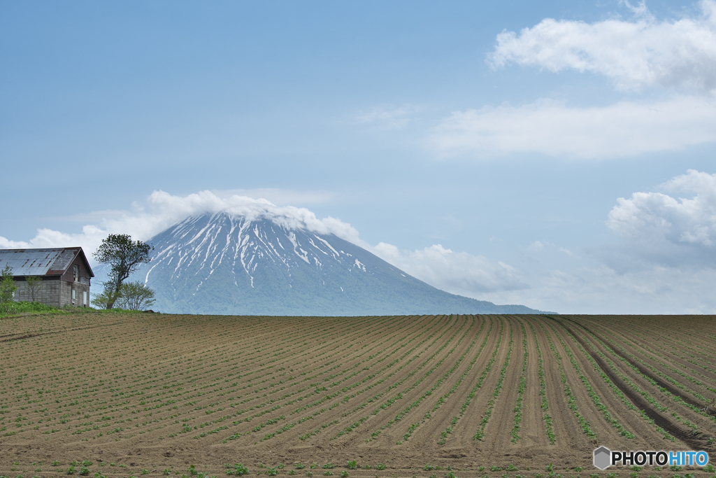 初夏の羊蹄山