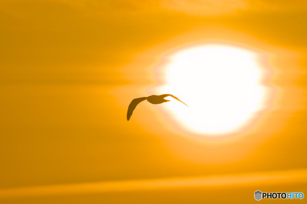 夕焼けの空へ