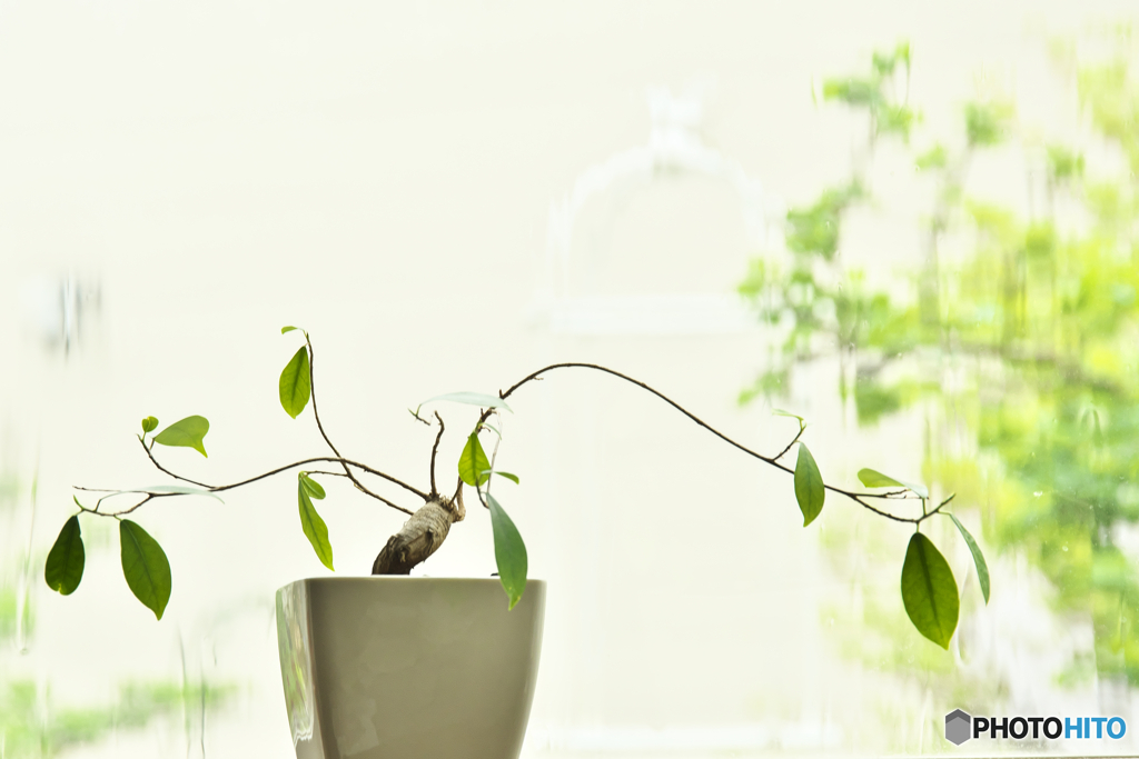 雨の窓辺で