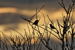 マジックアワーの海辺で＃３