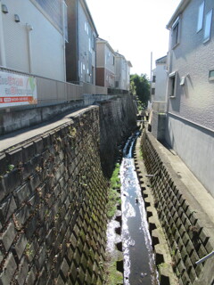 都会の小川