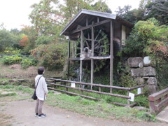 発電に使われないかなあ