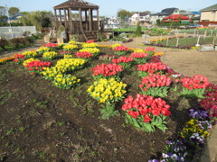陽だまり公園 ②