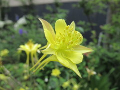 涼を、求めて