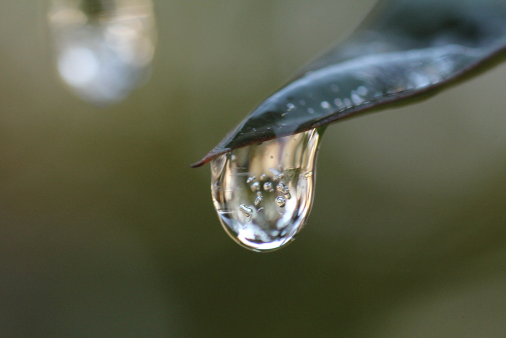 氷のしずく