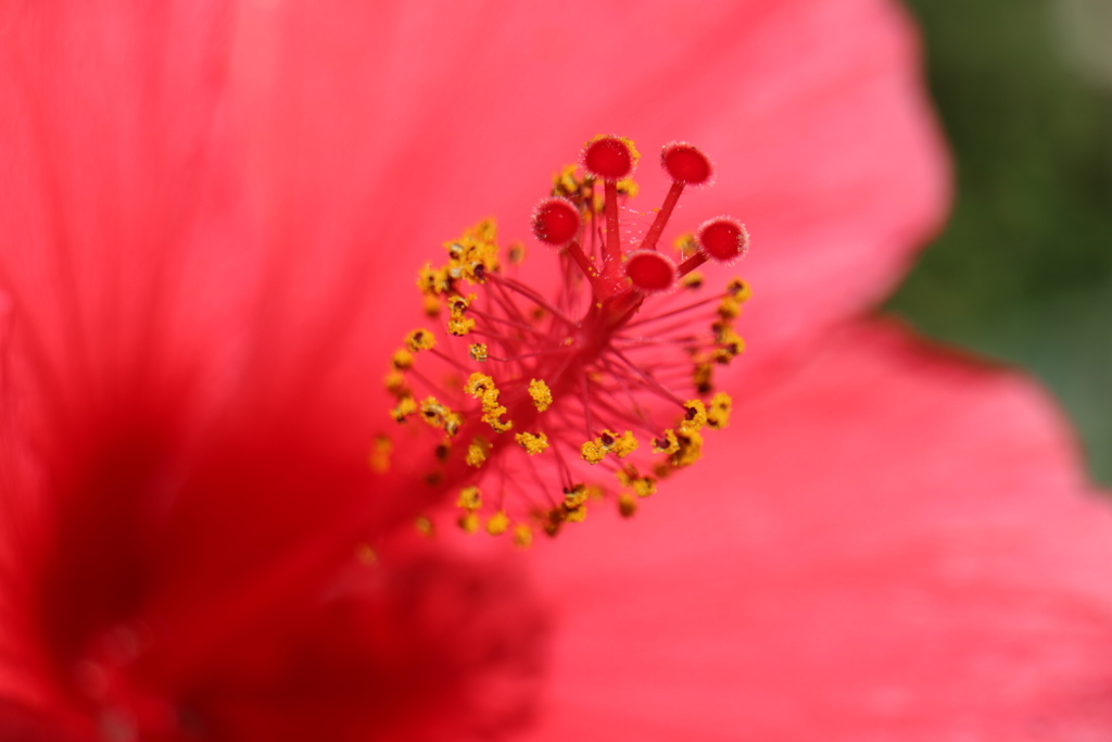 夏の終わりに