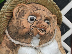 傷だらけのタヌキ
