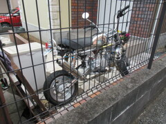 カスタム 旧モンキー50cc