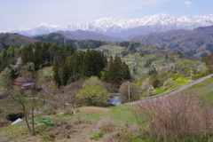 山里爛漫