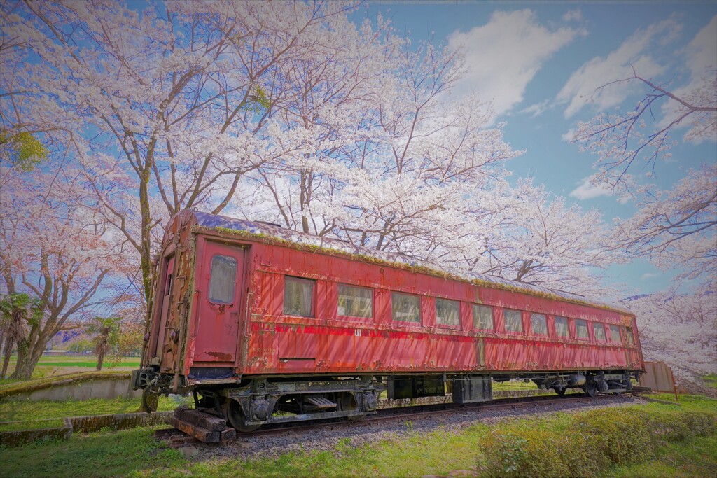 桜の中に眠る遺産１