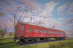 桜の中に眠る遺産１