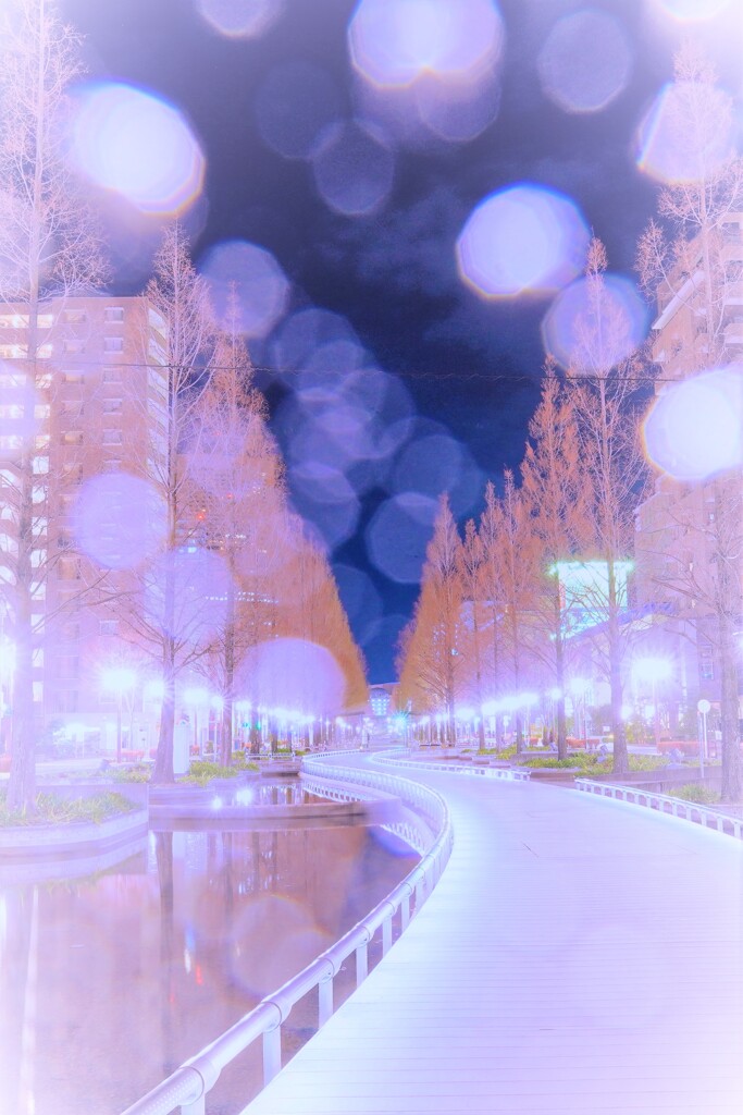 冬のセコイア並木