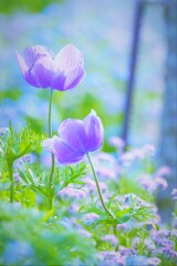 寄り添う。。。