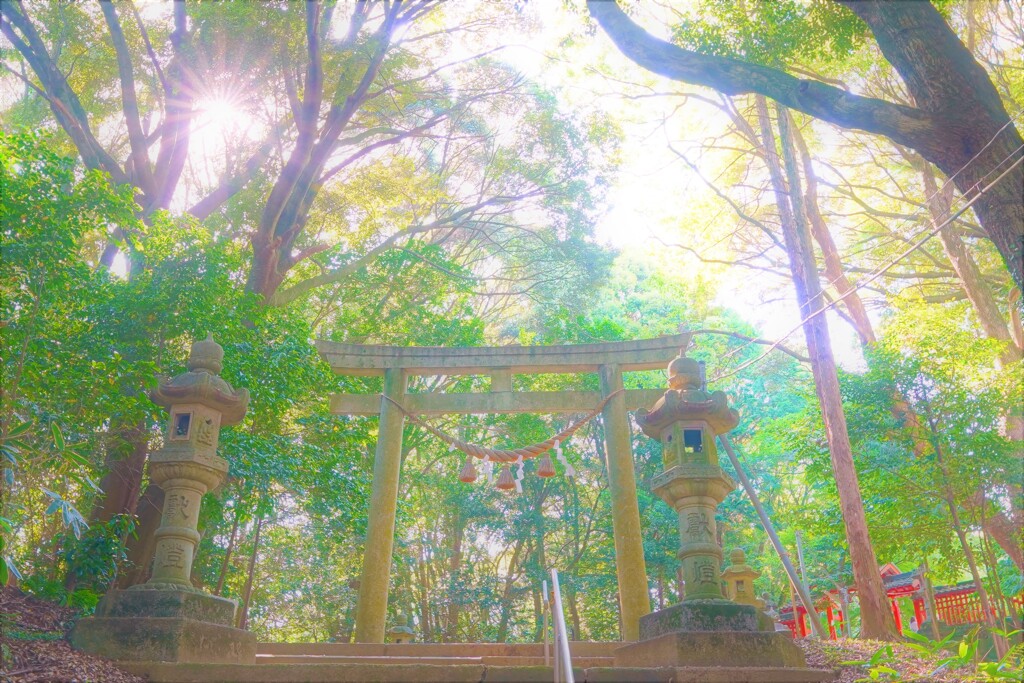 岡崎　山中八幡宮２