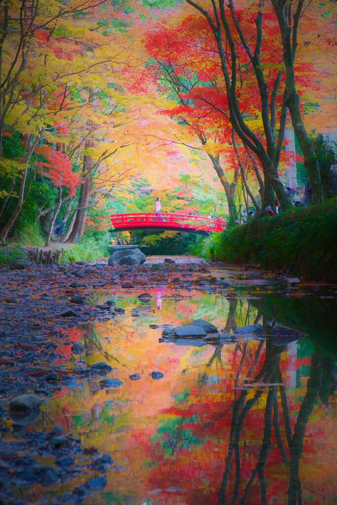 森の奥の小さな國へ。。。