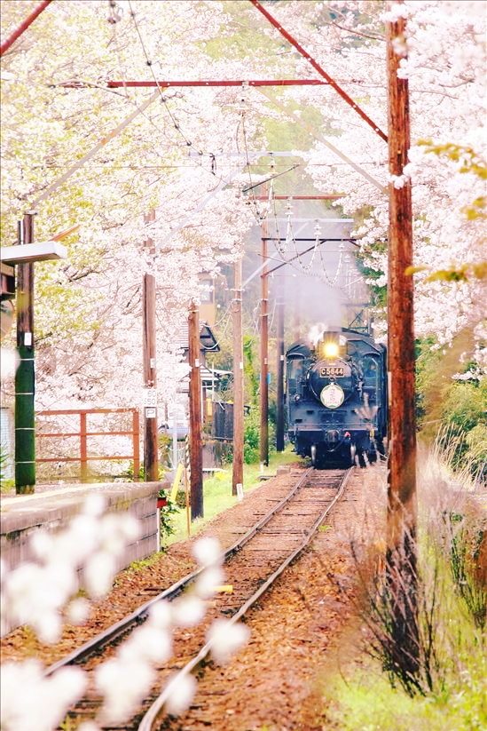 春の風