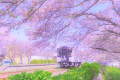 春はてんはま８