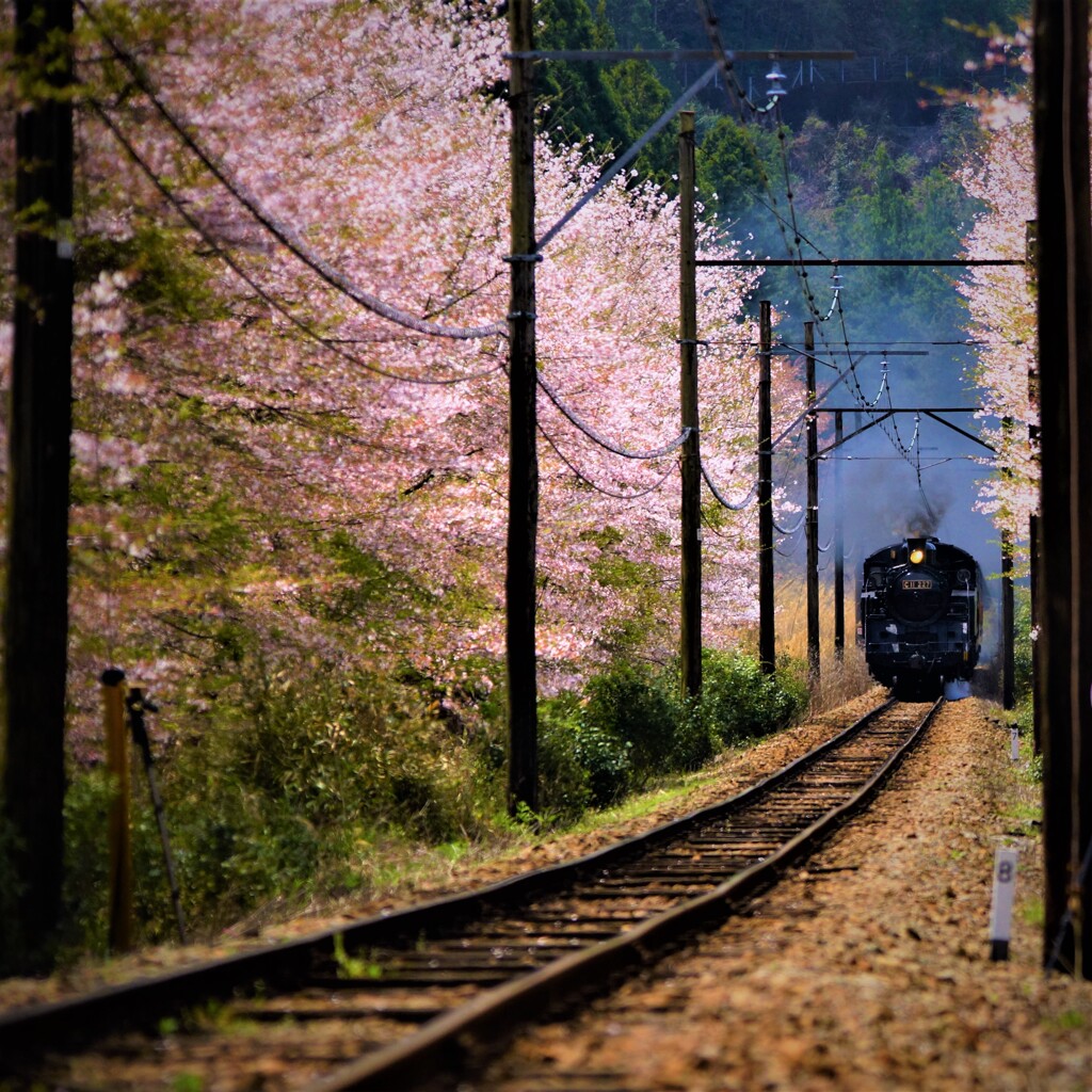前進！