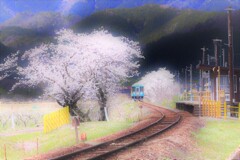 桜色に染まる駅４