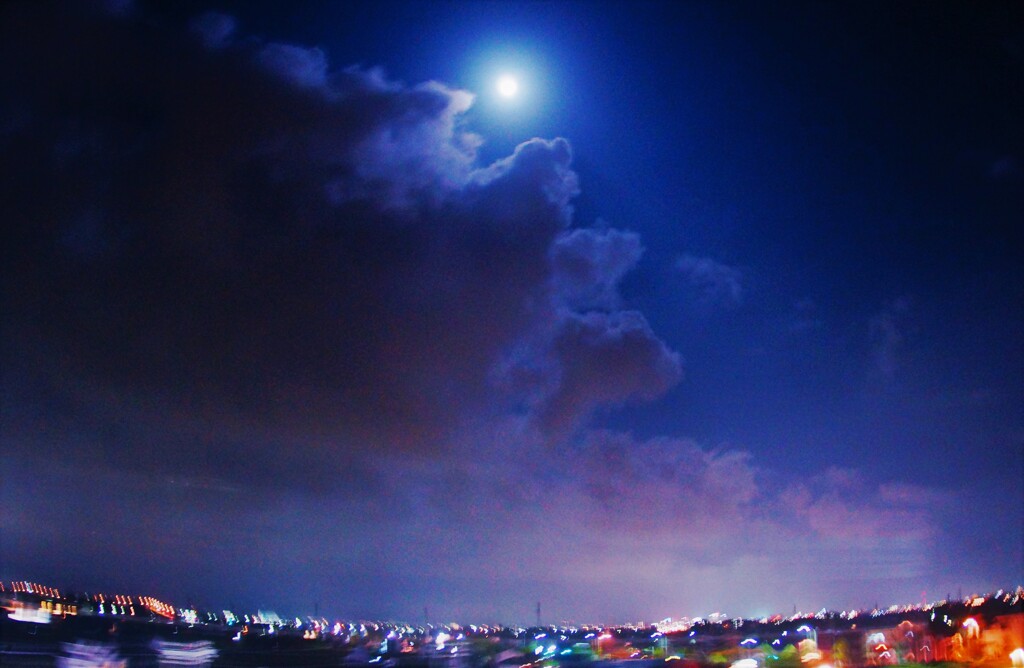 夜の間でさえ季節はめぐる♬