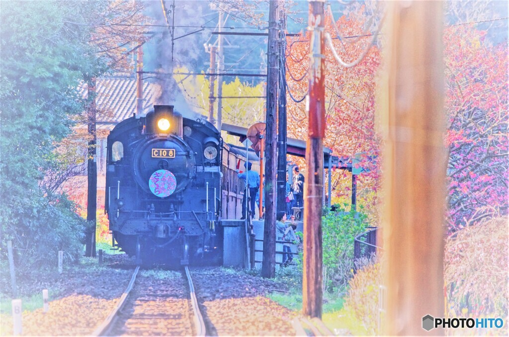 春の駅SL停車中
