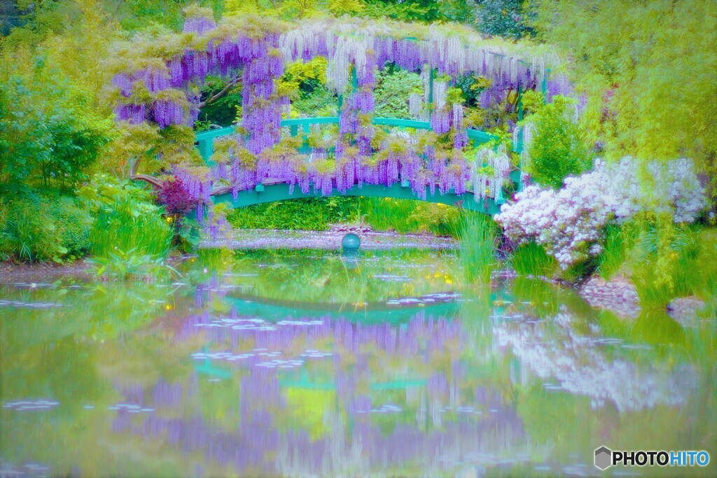 藤の橋２