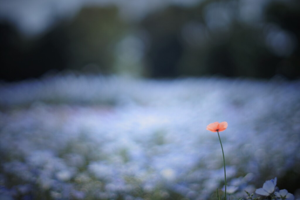 孤独とオリジナリティ