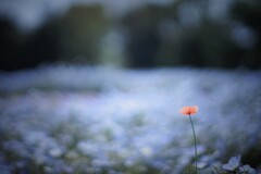 孤独とオリジナリティ