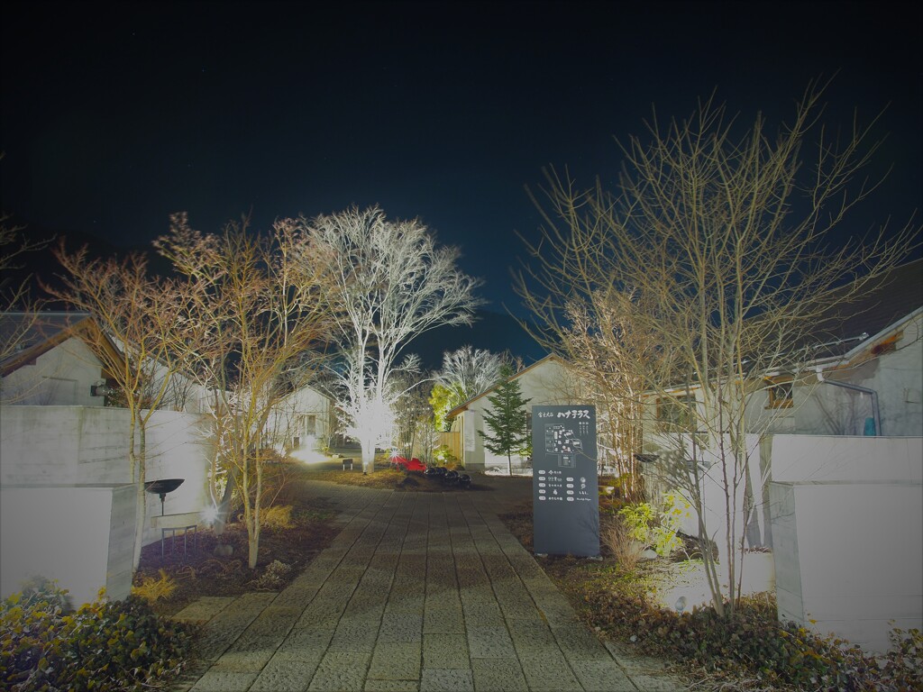 冬のハナテラス