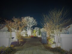 冬のハナテラス