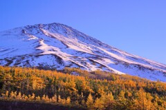 近づくことで知る表情２