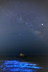 伊良湖　赤羽根の夜２