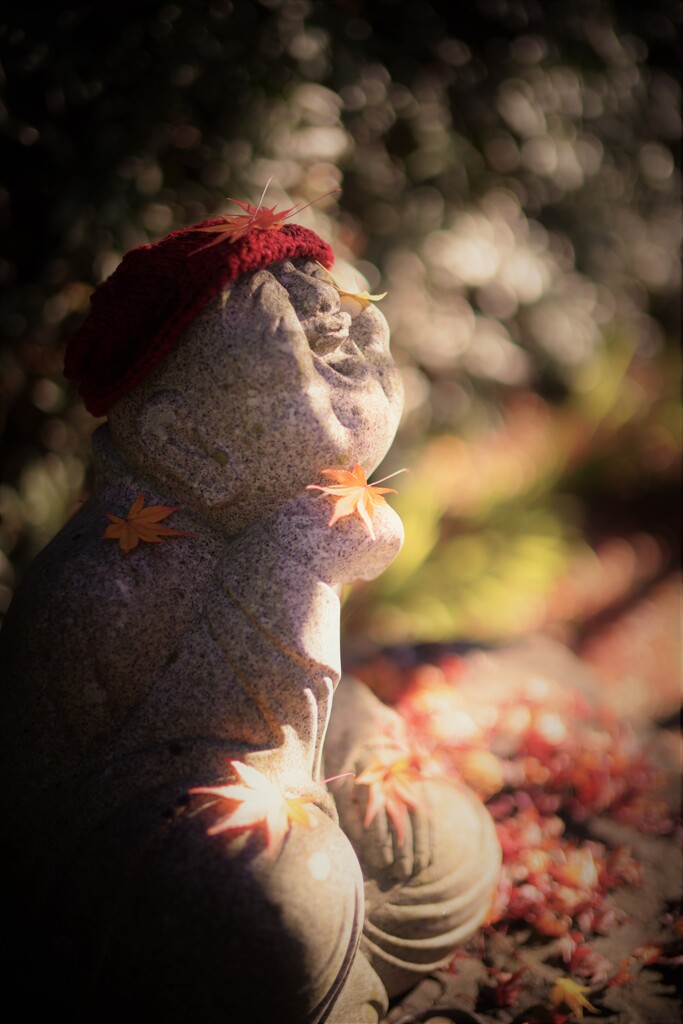 秋をいっぱいに感じて。。。